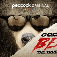 Peacock to Debut Documentary on the True COCAINE BEAR Story Photo