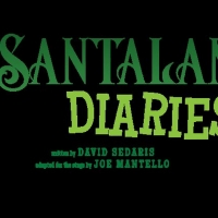 THE SANTALAND DIARIES At Virginia Stage Company! Video