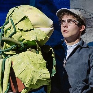 Joshua Bassett Says Live Theater 'Isn't His Thing' After LITTLE SHOP OF HORRORS Photo
