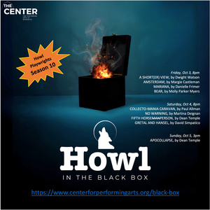 Howl Playwrights To Present HOWL IN THE BLACK BOX: RESIST! At Rhinebeck Center Photo
