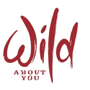 Katharine McPhee, Jessie Mueller, Jackie Burns & More Join WILD ABOUT YOU World Premi Photo