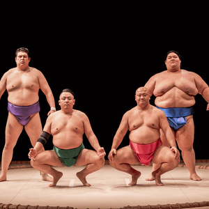 EDINBURGH 2026: Sumo World Q&A Photo