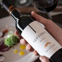  SEPTIMA MALBEC 2018 from Argentina