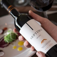  SEPTIMA MALBEC 2018 from Argentina Photo