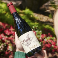 EnRoute Pinot Noir-A Wine to Treasure