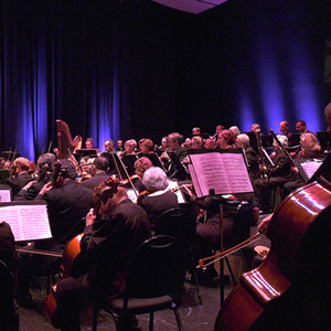 Hershey Symphony to Launch 58th Season With 'Drawn to Music' Theme Photo
