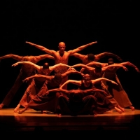Video: Watch Ailey's Opening Night Gala at New York City Center Photo