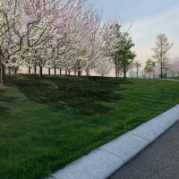 The Trust for Governors Island to Unveil The Open Orchard in Spring 2022 Photo