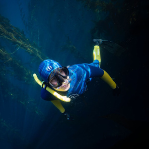 Catalina Museum For Art & History to Present THE BLUE FOREST By Oriana Poindexter