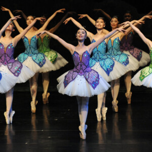 Shanghai Ballet's THE BUTTERFLY LOVERS Will Come to the State Theatre Photo
