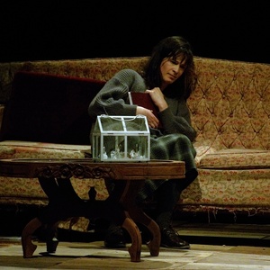 Review: EL ZOOLÓGICO DE CRISTAL at Teatro Juan Ruiz De Alarcón Photo