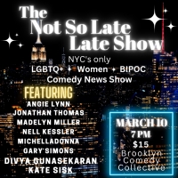 THE NOT SO LATE LATE SHOW to Play Brooklyn Comedy Collective in March Photo