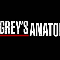 GREY'S ANATOMY Star Justin Chambers Announces Exit from Series Photo