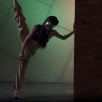 Gibney Company 30th Anniversary Virtual Gala Debuts New Work by Rena Butler