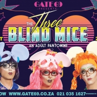 BWW Review: THE THREE BLIND MICE is Laugh-Out-Loud Fun at Cape Town's Fabulous Gate 6 Photo