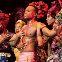 Queens Theatre Presents FELA! THE CONCERT One Night Only Photo