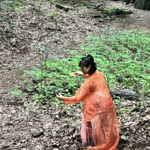 Kinesis Project Dance Theatre to Present Summer Performances In Seattle