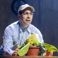 Wake Up With BWW 7/20: First Look at Rob McClure in LITTLE SHOP OF HORRORS, and More! Photo