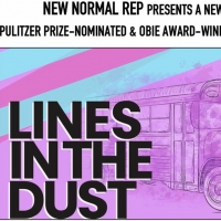 LINES IN THE DUST Starring Jeffrey Bean, Melissa Joyner & Lisa Rosetta Strum to be…