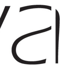 Rovaco Dance Party 2025 To Take Place September 27 At Center For Performance Research Photo