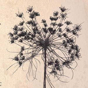 Parthenia to Open 2025"2026 Season with WHEN I HAD A VOICE at the Agnes Varis Perfo Photo