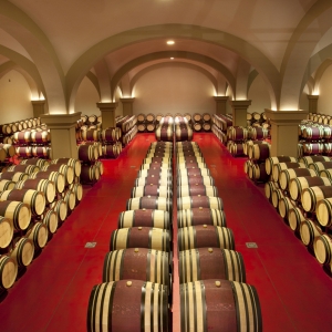Savor ARGENTIERA WINES from Tuscany Photo