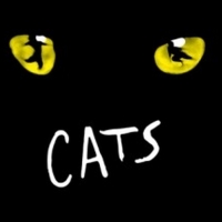 Live Theatre Review: CATS THE MUSICAL - Nightmarish Conjurings