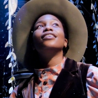 PlayMakers Streams First Film AS YOU LIKE IT Photo