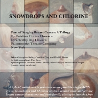Staging Breast Cancer Presents SNOWDROPS AND CHLORINE Photo
