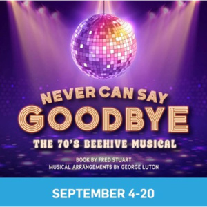 NEVER CAN SAY GOODBYE: THE '70S BEEHIVE MUSICAL to Open at Actors Theatre of Indiana Photo