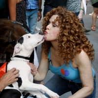 VIDEO: Watch Peters & Friends on BROADWAY BARKS Photo