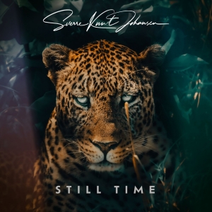 Sverre Knut Johansen Releases New Album 'STILL TIME' Photo