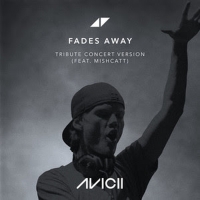 Avicii's 'Fades Away' Special Concert Version Featuring Mishcatt is Available Now Video