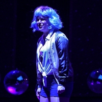 BWW Feature: ONLINE VIRTUAL OPERA TOUR No. 44 at Home Computer Screens