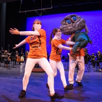 Palm Beach Symphony Offers Free Virtual Concert To Families
