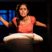 Boundless Theatre Company Will Open New York Premiere of FUR by Migdalia Cruz Video