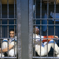 Review: COYOTE ON A FENCE at Dirt Dogs Theatre