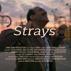 STRAYS to Screen at Delancey Street Theater in October Photo