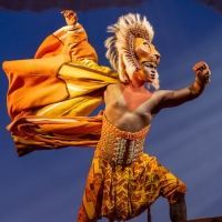 Disney's THE LION KING North American Tour Celebrates 20th Anniversary