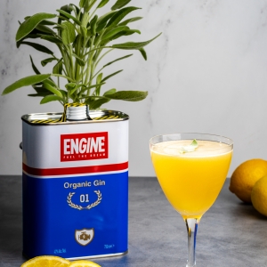 ENGINE GIN-Recipes for Formula 1 Racing Fans and Many More Photo