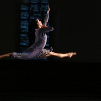 Cherylyn Lavagnino Dance Returns This February With TALES OF HOPPER Photo