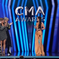 Luke Combs and Kacey Musgraves Win Big at the CMA AWARDS - See Full Winners List! Photo