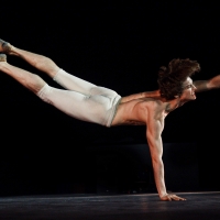 Festival Ballet Theatre's 12th Anniversary GALA OF THE STARS Returns In August Video