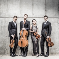 Tesla Quartet Returns To Lot Of Strings Music Festival At The Morris Museum