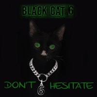 BLACK CAT 6 Featuring Guitarist Neil Citron Release First Single 'Don't Hesitate' Photo