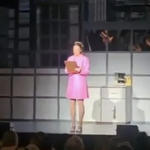 Video: 9 TO 5 Audience Gasps as Cast Member Announces Dolly Parton's Death Photo