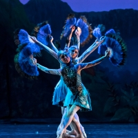 Spencer Theater Presents State Street Ballet in THE JUNGLE BOOK Photo