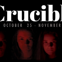 BWW Review: THE CRUCIBLE at Susquehanna Stage Company Video