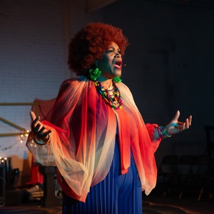 Review: ELEVENTH HOUR RADIO Prompts Conservation Conversation Photo