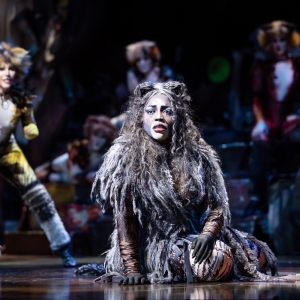 Final Perth Tickets Now On Sale For CATS Photo